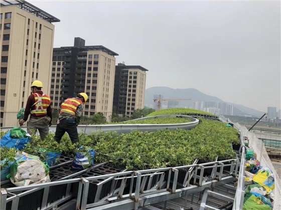 微信图片_20200511114247