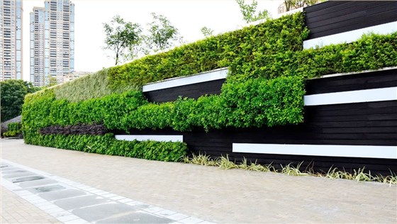 香蜜湖公园天桥立体绿化