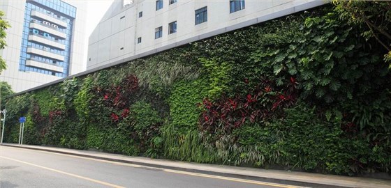 深圳京基100夏天