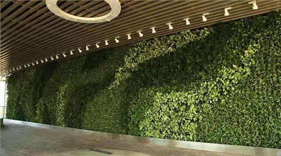 微信图片_20190928101213