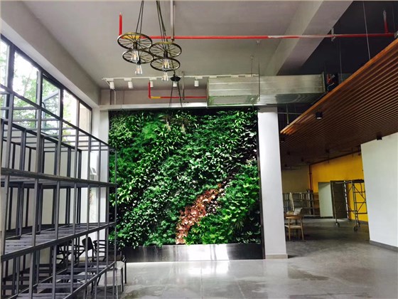 mmexport1595231831214