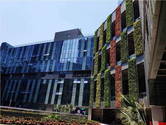 mmexport1588056710276