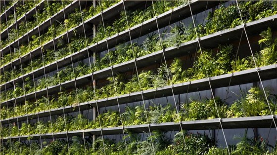 微信图片_20200915073236