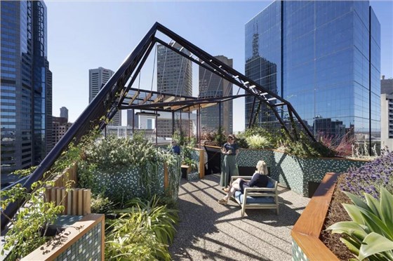 微信图片_20201102163501