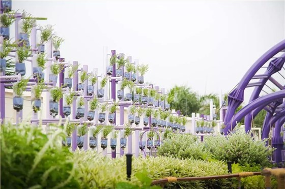 微信图片_20210118151637