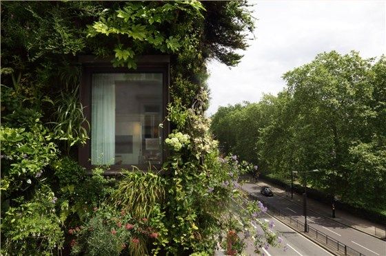 220o0z000000mqnvx95E7_Z_1080_808_R5_D