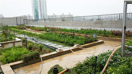 百花小学屋顶花园