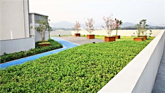 广州万科云生态屋顶