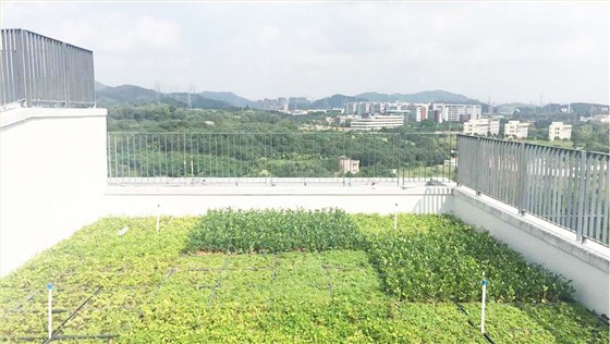 广州万科云容器式屋顶绿化