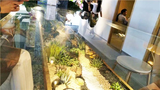 室内植物微景观
