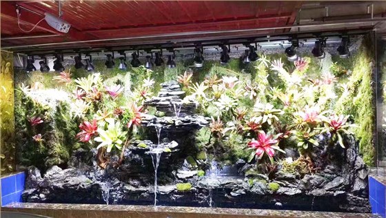 生态水景缸