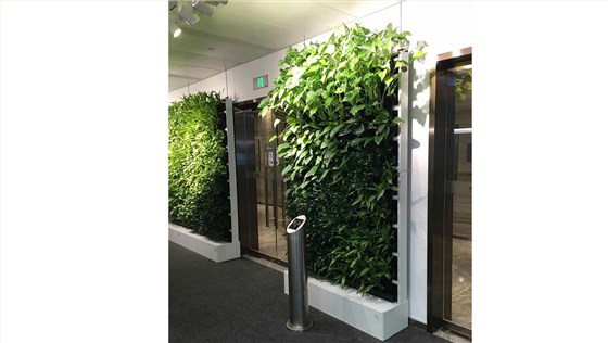 隔断植物墙 隔断植物墙
