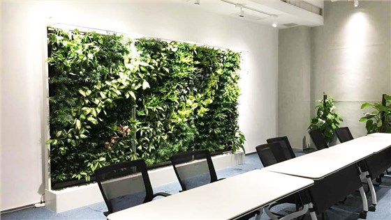 移动植物墙 移动植物墙