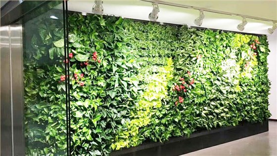 移动植物墙 移动植物墙