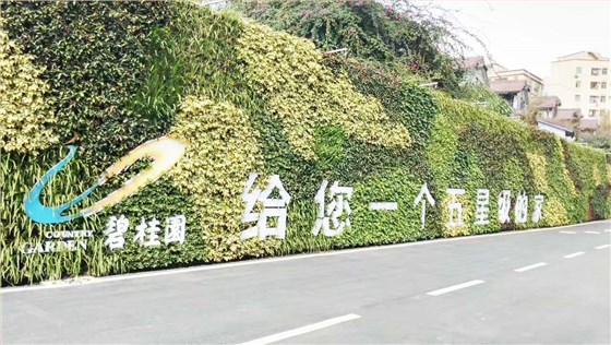 碧桂园荣汇垂直绿化