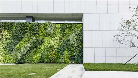 城邦花园小区垂直绿化