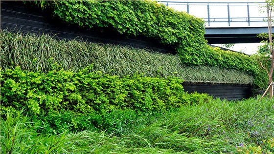 香蜜湖天桥垂直绿化