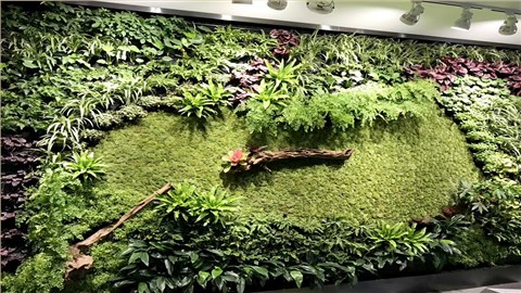 苔藓墙