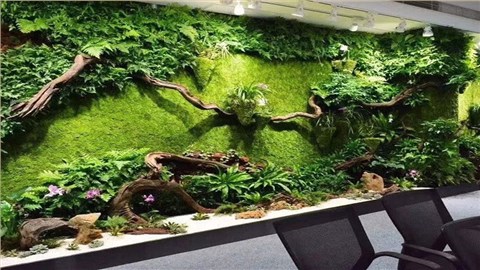 苔藓墙