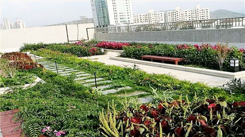 屋顶花园