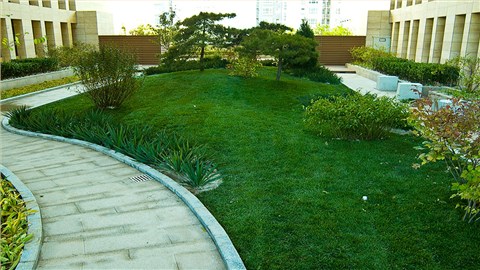 屋顶花园