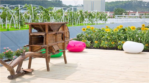 屋顶农场