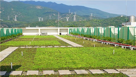 容器式屋顶绿化