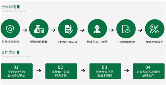 远岫合作流程