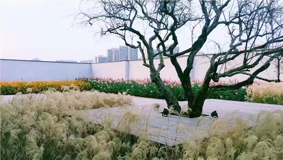 未标题-3