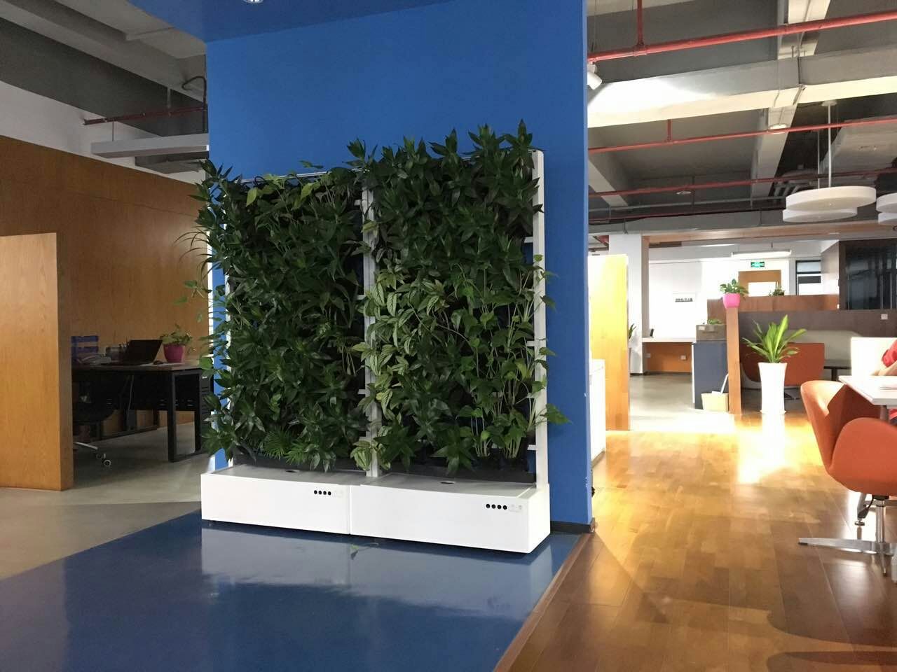 小空间养出大生态—可移动式小型植物墙