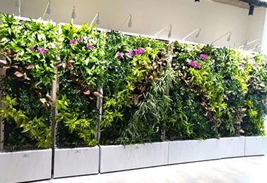 室内绿墙装饰景观成为环境软装重要的流行元素