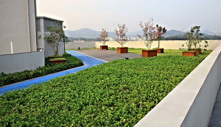 组合式屋顶绿化容器高效解决屋面生态种植方案
