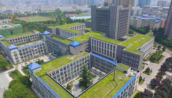 上海市屋顶绿化技术规范