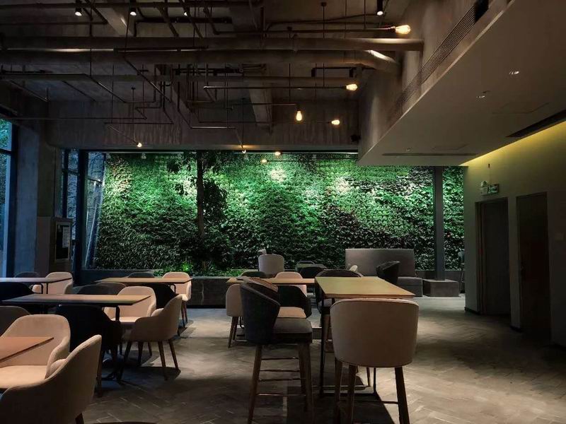 植物补光灯设计对室内植物墙的重要性