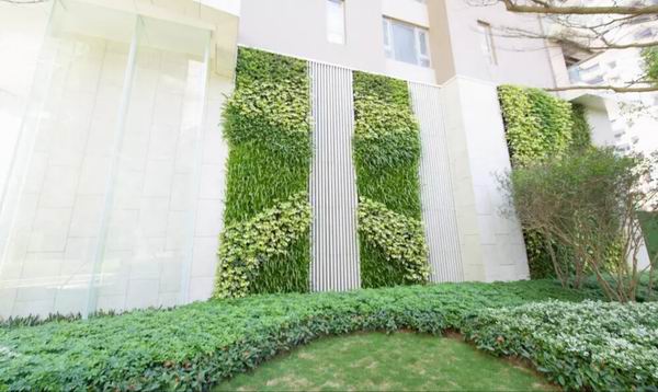 绿植景观在地产售楼处室内外场所应用的景观墙