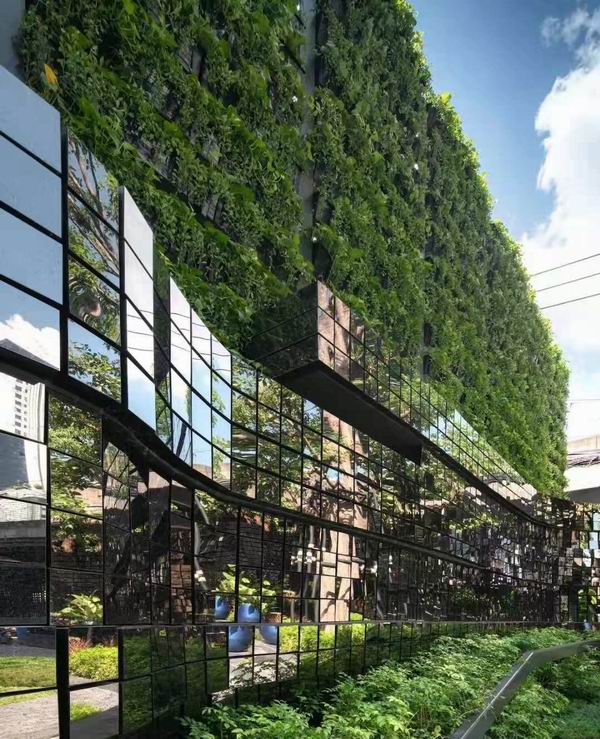 立体绿化为什么是未来城市的发展趋势