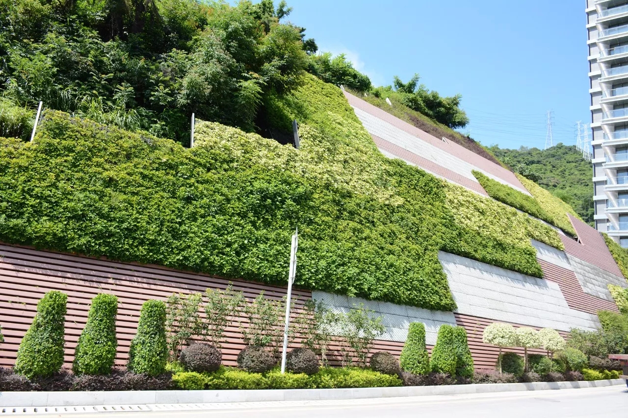 立体绿化—开启中国人居型生态城市新未来
