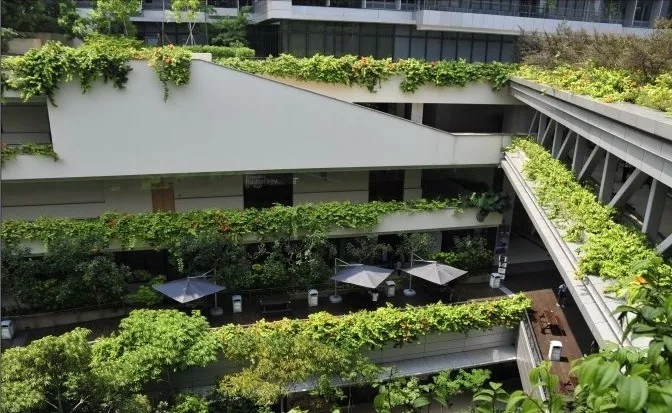 什么是屋顶绿化? 屋顶绿化都有哪些类型？