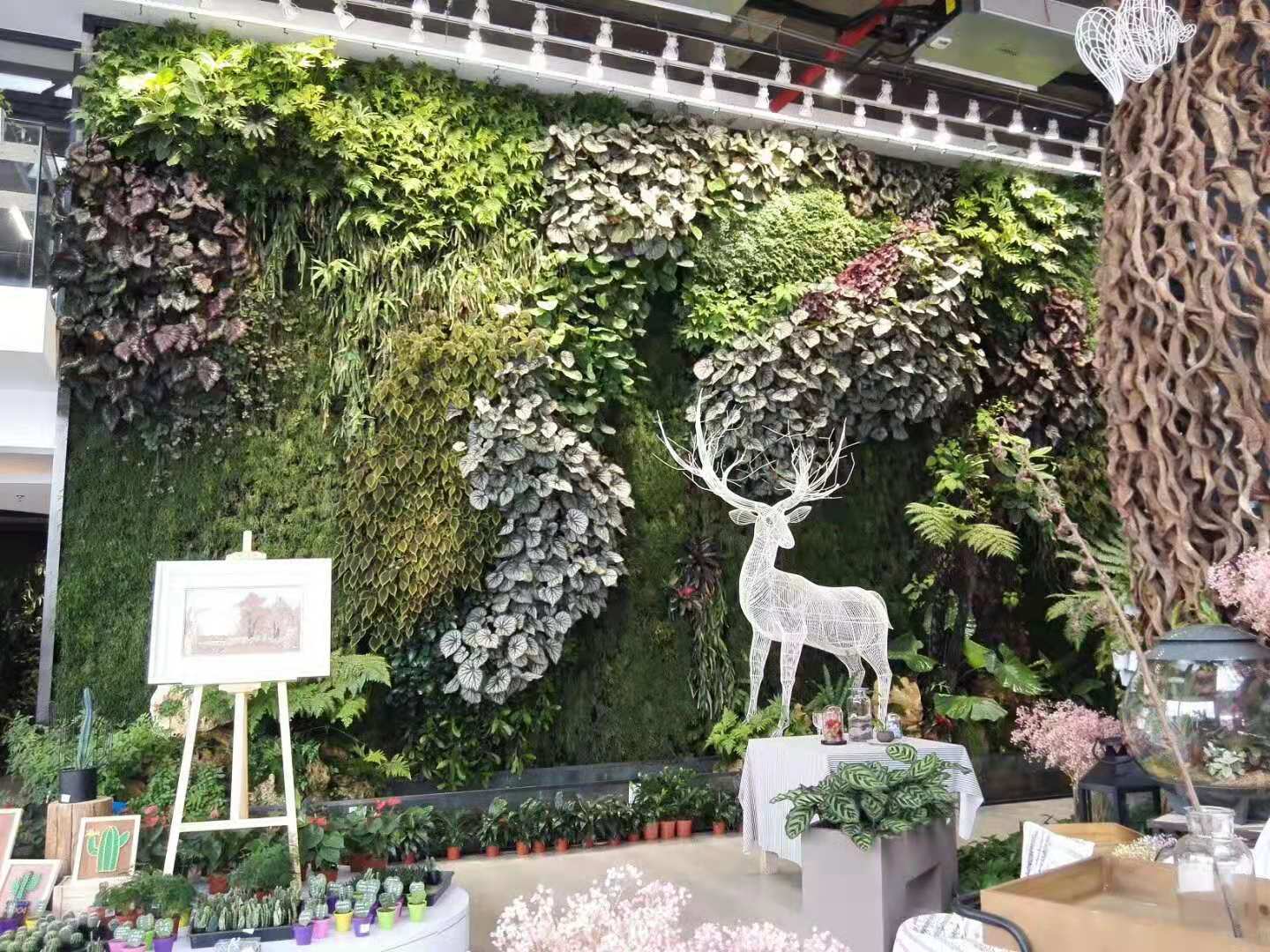不同的室内环境如何选择合适的绿植墙做法