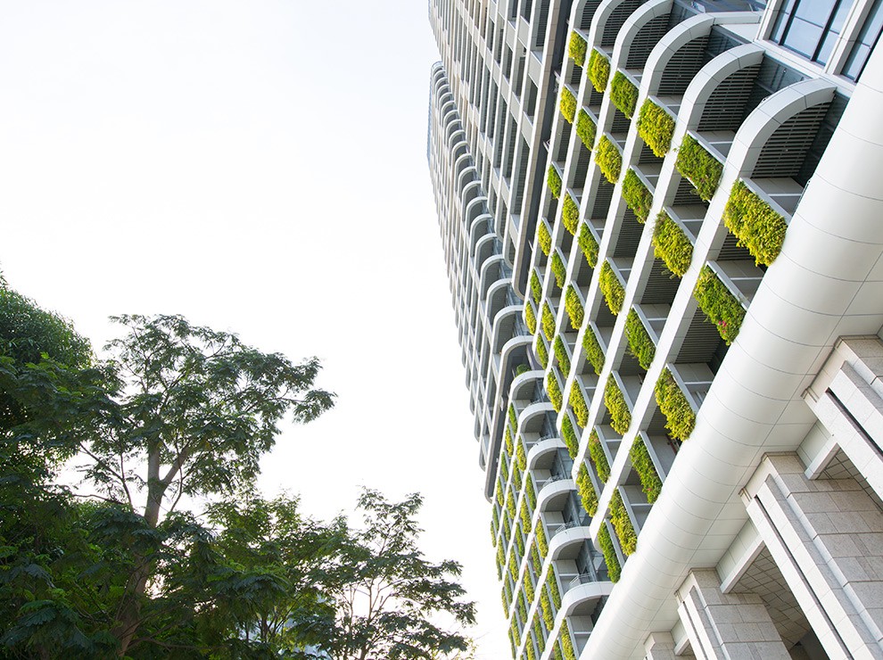 户外建筑立面垂直绿化墙该采用哪种绿植墙方式