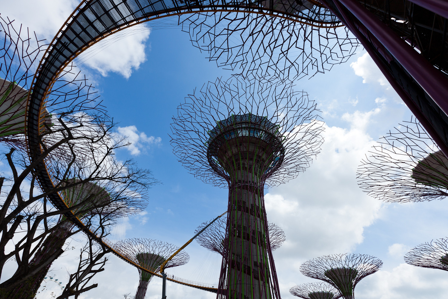 立体绿色雕塑让城市空间呈现更个性化生态体验