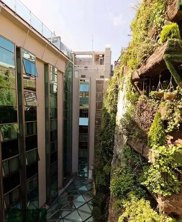 铺贴式植物墙与模块式垂直绿化的应用区别