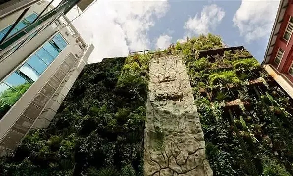会呼吸的墙体—马德里圣多明各酒店外墙垂直绿化