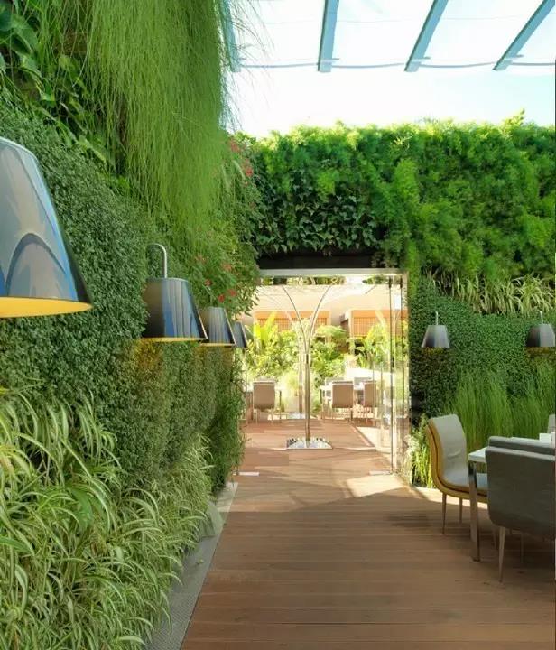 植物墙装饰为空间带来怎样的视感体验