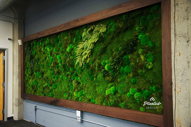 集艺术景观与生态气息一体永生苔藓墙