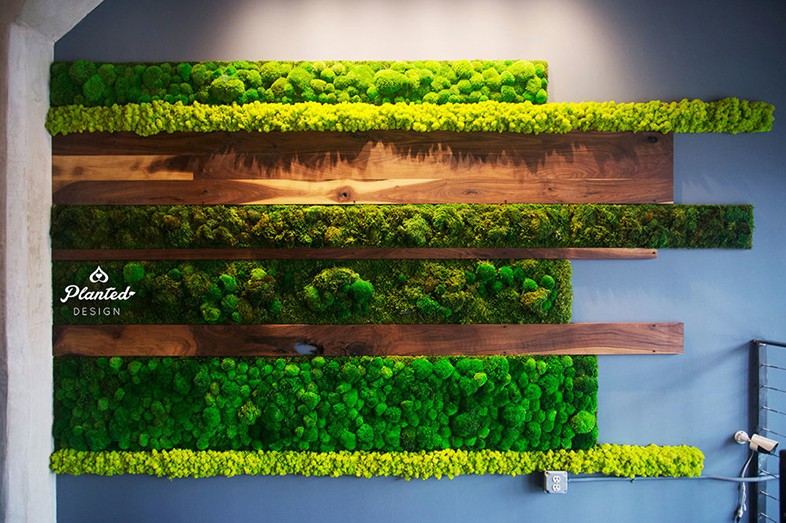 室内生态办公隔断背景墙茶水间绿植墙装饰应用