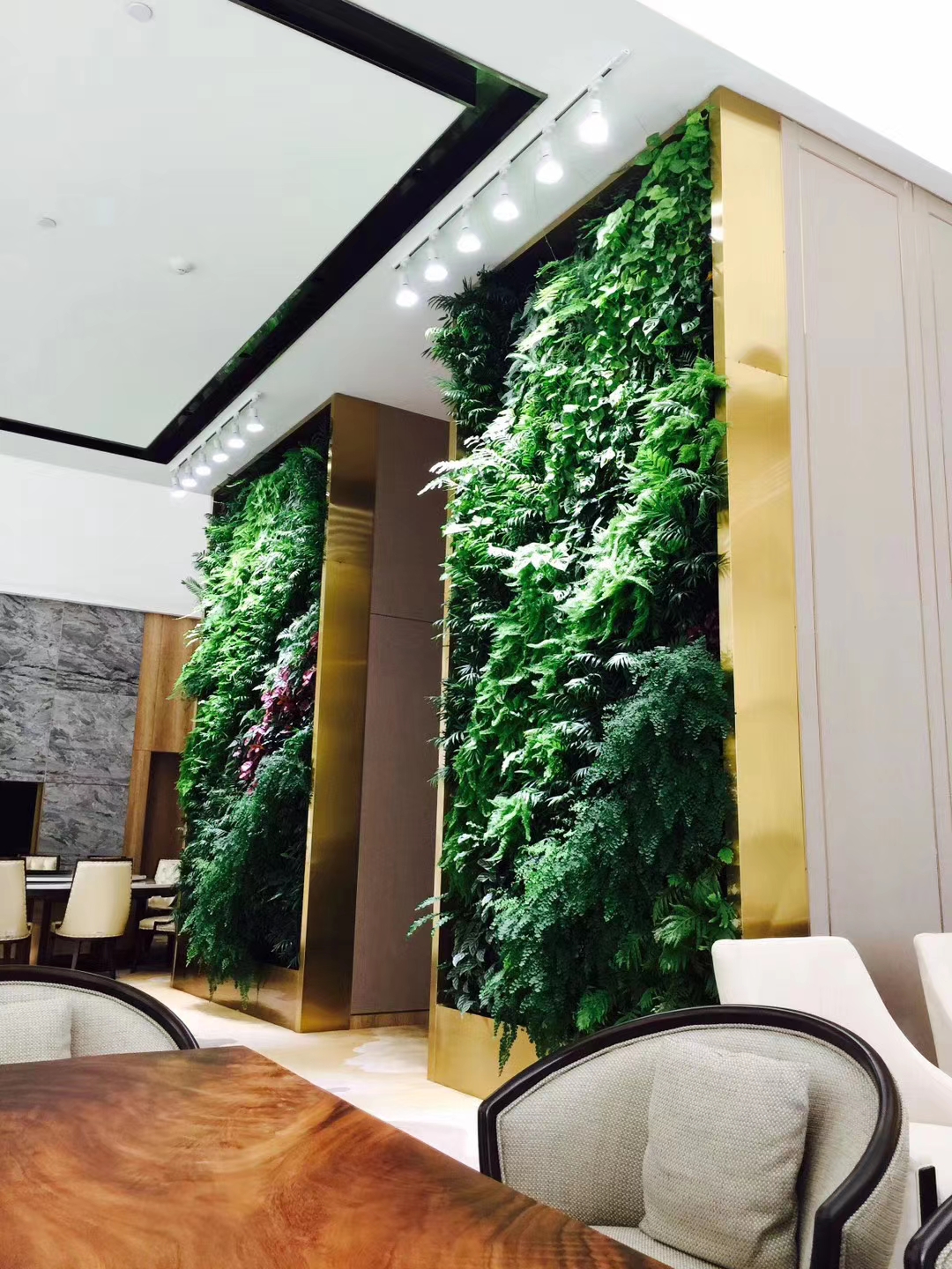 生态绿墙室内环境植物墙养护上有哪些关键因素