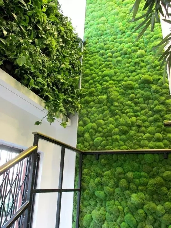 室内环境植物墙装饰景观生态装饰自然软装潮流
