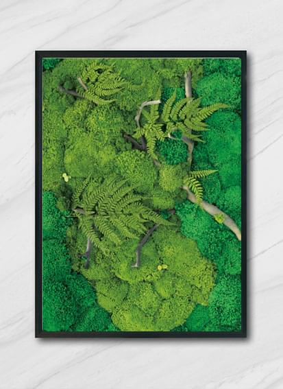 永生苔藓背景墙创意多肉立体艺术植物装饰壁画
