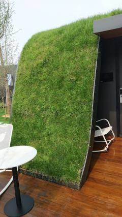 墙面草坪，比普通垂直绿化更为独特的立体景观